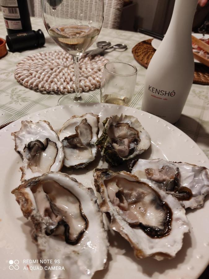 El PerellóCasa Oliveres Beach En L' Ampolla别墅 外观 照片